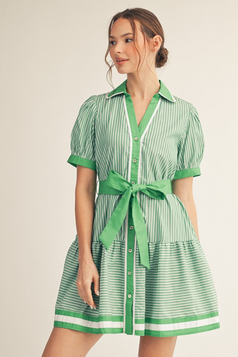 Brooklyn Button Down Stripe Dress Green