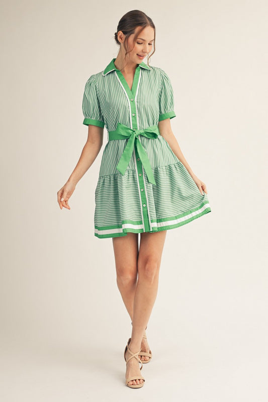 Brooklyn Button Down Stripe Dress Green